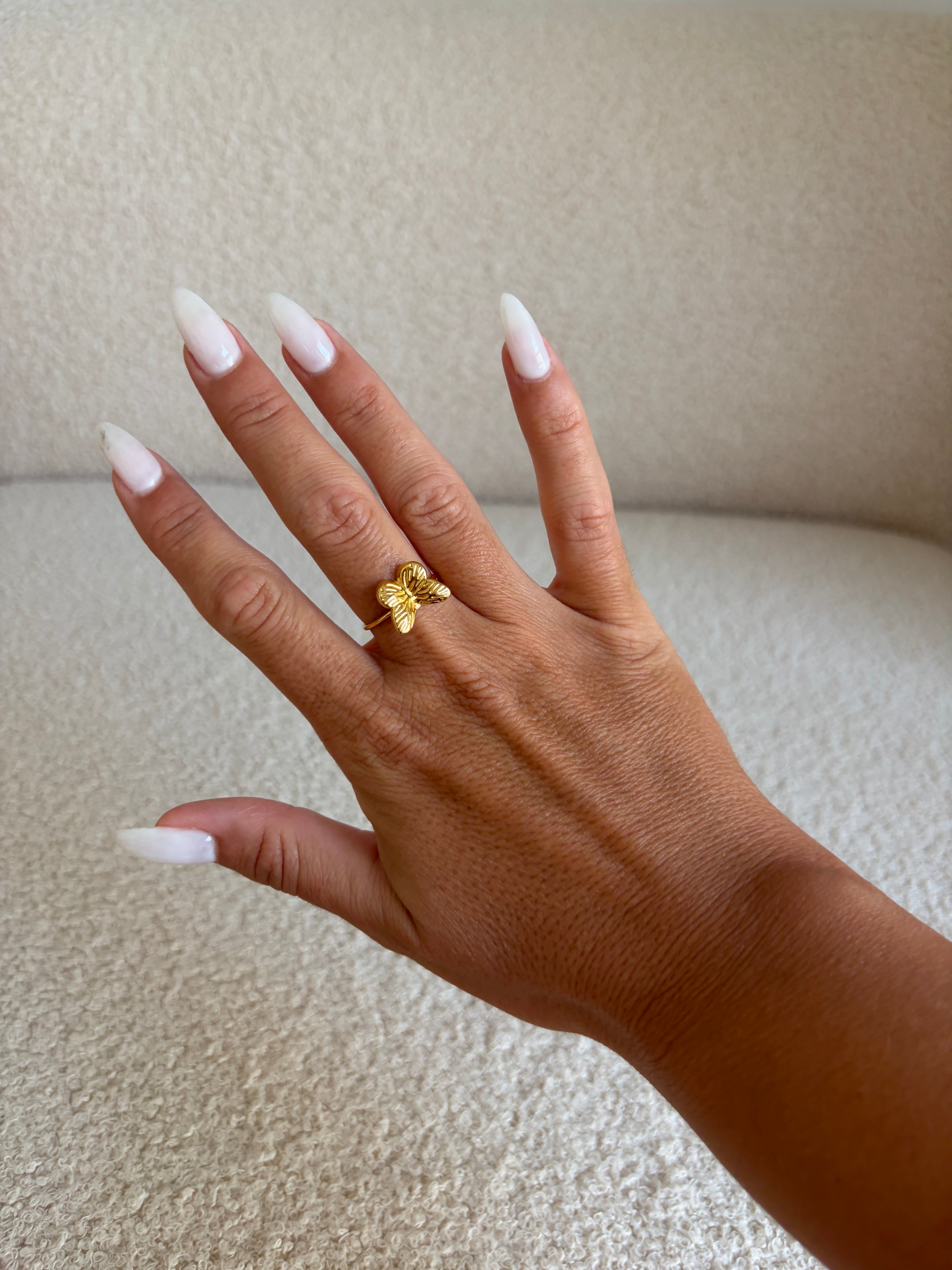 Anillo Vega