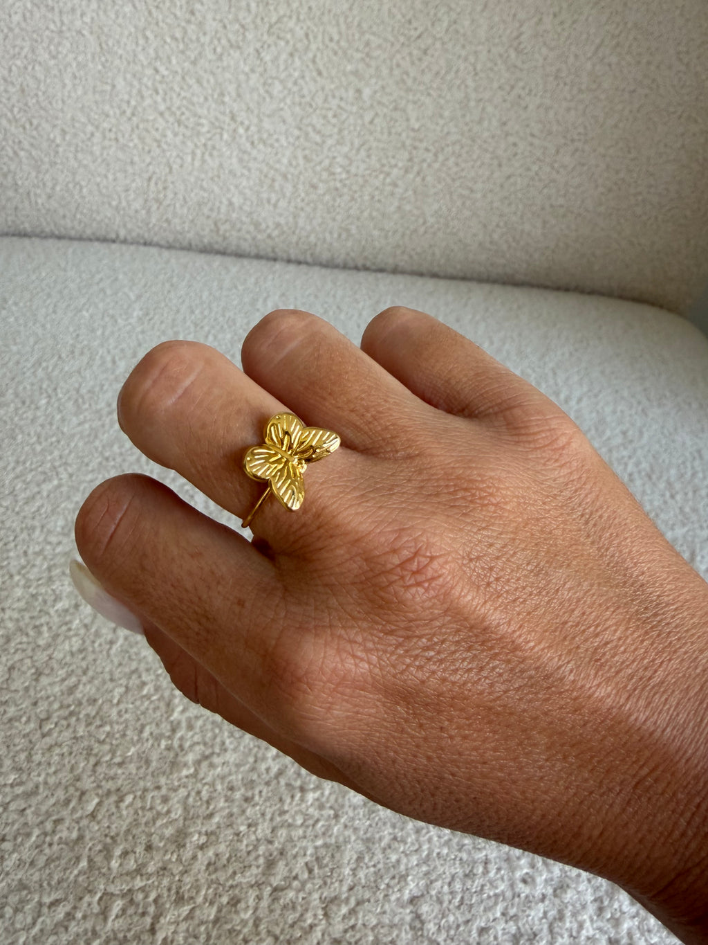 Anillo Vega