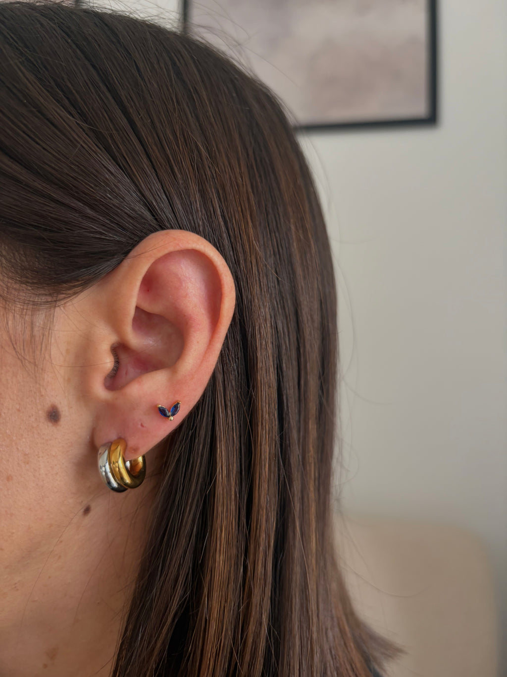 Pendientes Cata